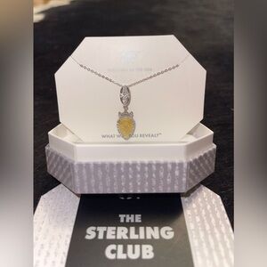 BP Sterling Silver collection necklace,Canary Ice Crystal,jewelry reveal,RBP2597